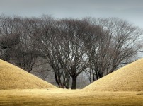 경상북도 경주 - 고고학자, 이00 님
